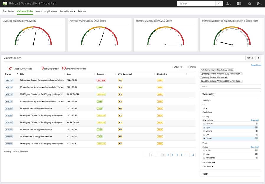 Brinqa Vulnerability Analysis screenshot